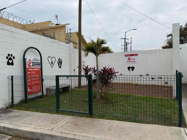 place photo 7
