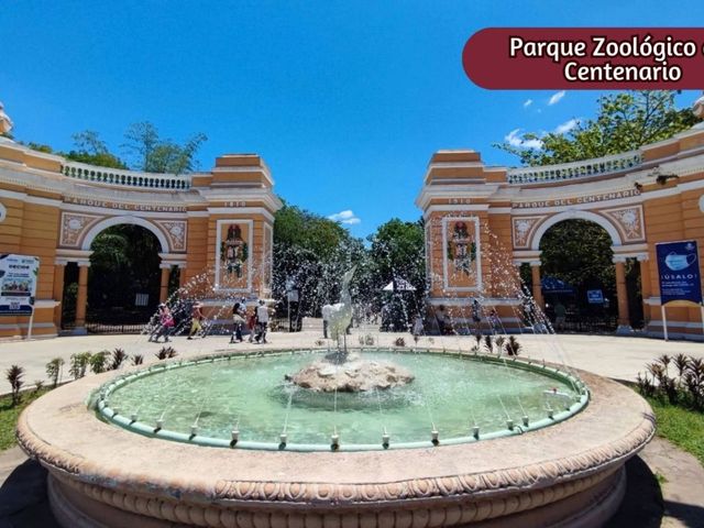place photo 29