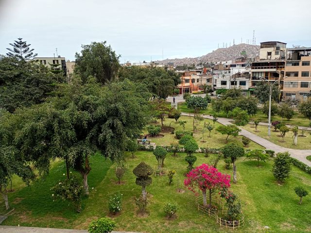 place photo 19