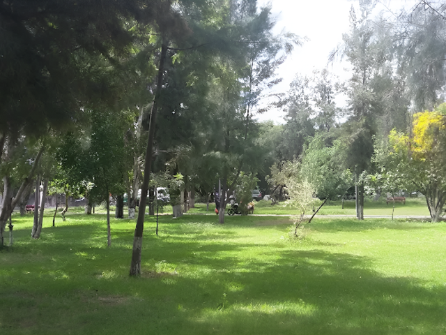 place photo 24