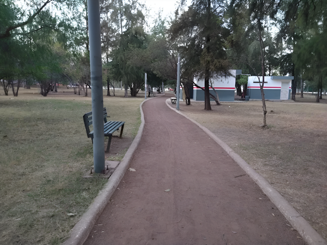 place photo 23