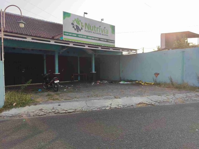 place photo 2