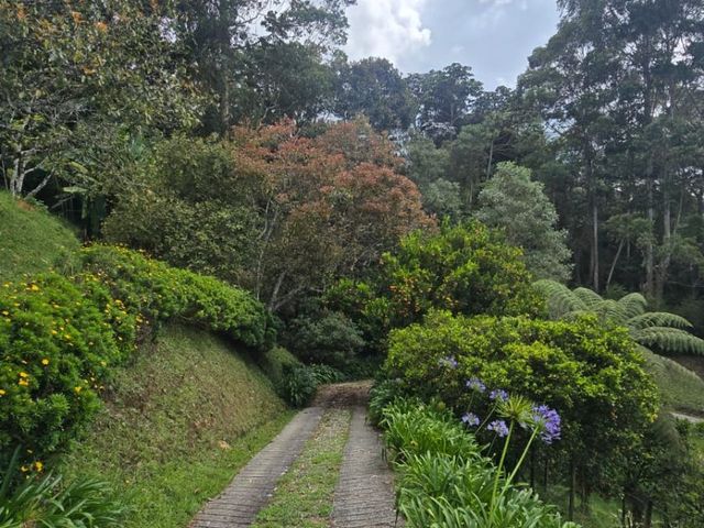 place photo 24