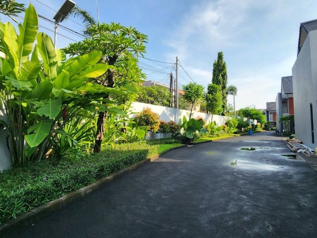place photo 66