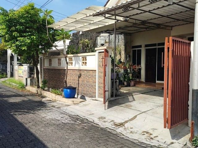 place photo 17