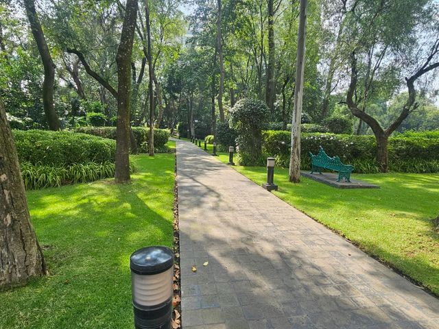 place photo 39