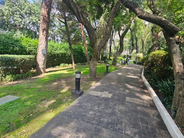 place photo 42