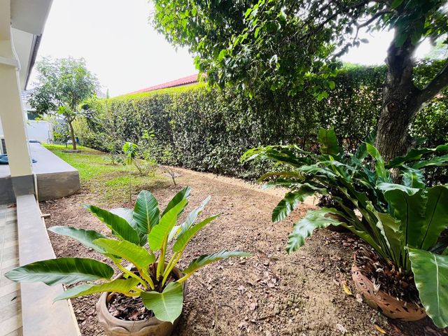 place photo 33