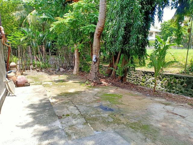 place photo 26
