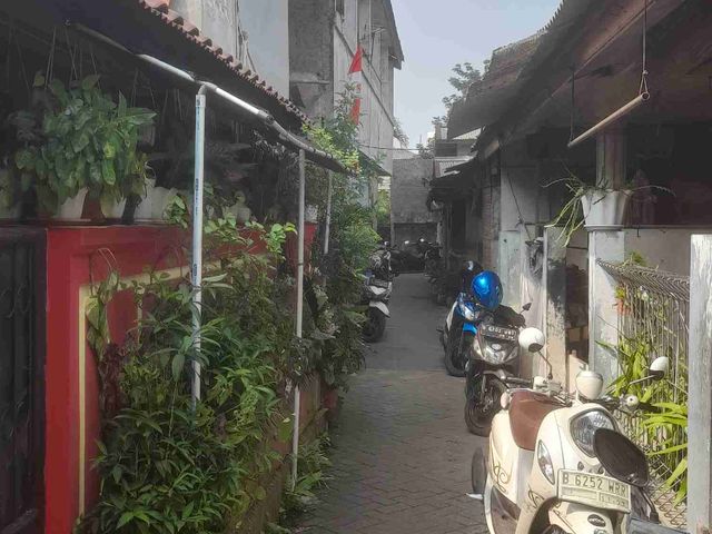 place photo 14