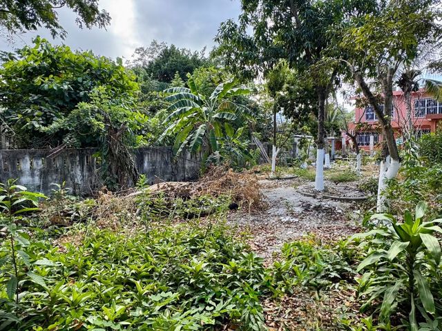 place photo 5