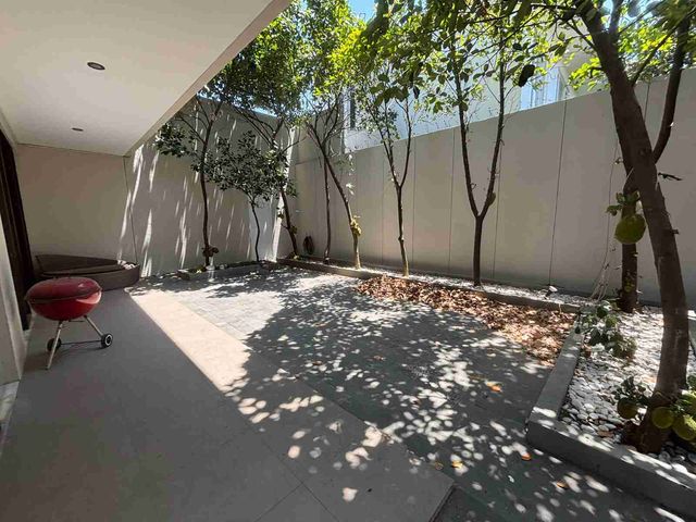 place photo 40