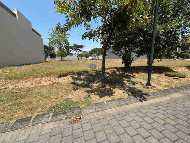 place photo 48