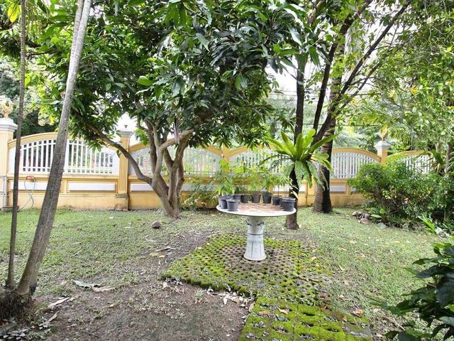 place photo 48