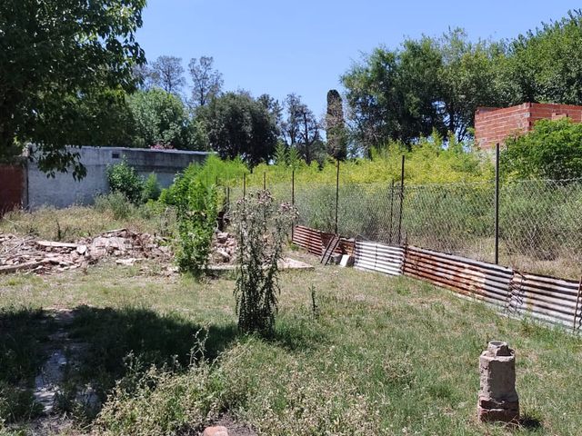 place photo 24