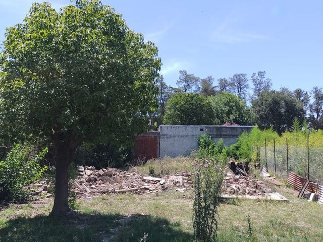 place photo 23