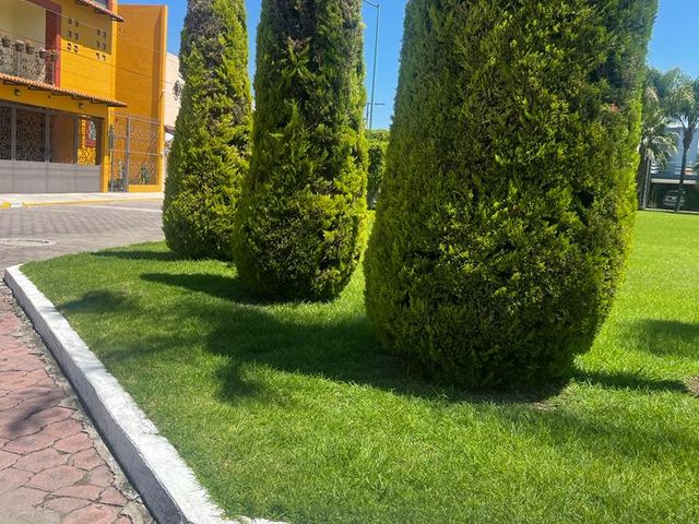 place photo 35