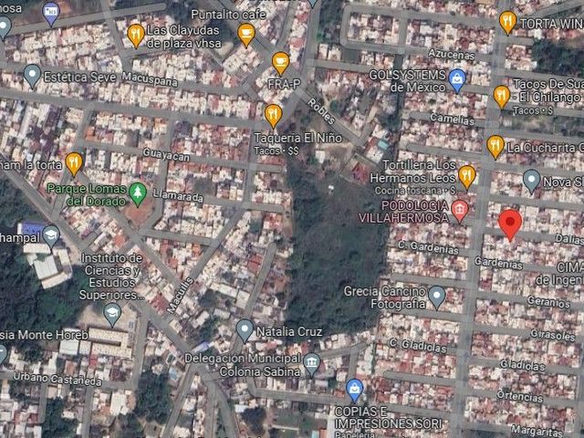place photo 6
