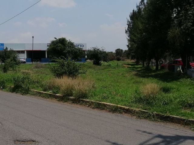place photo 13