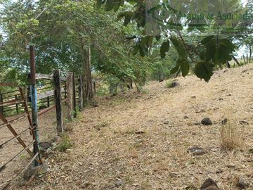 place photo 30