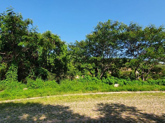 place photo 24