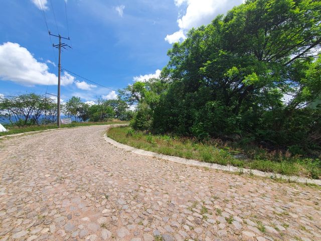 place photo 18