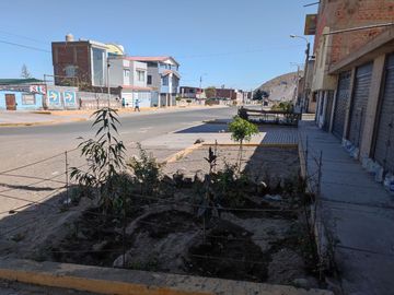 place photo 34
