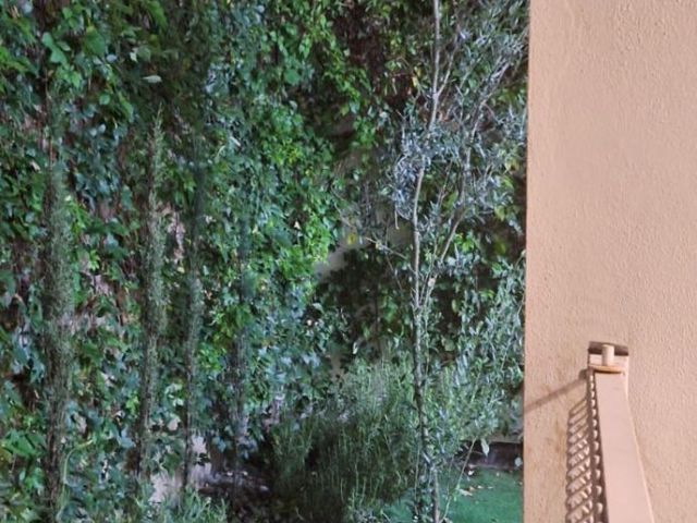 place photo 60