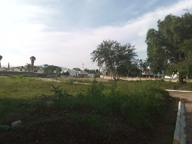 place photo 24