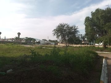 place photo 24