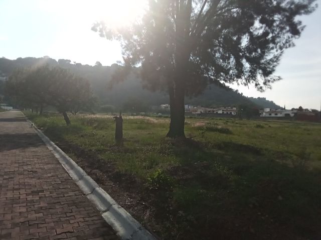 place photo 21