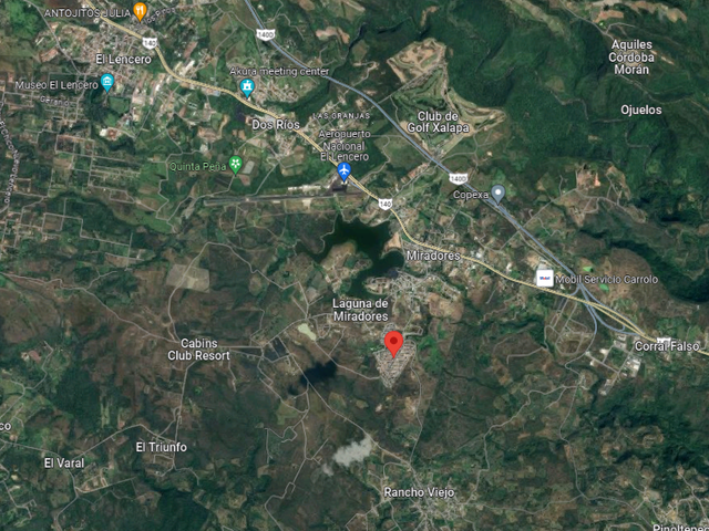 place photo 8