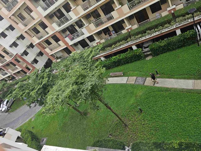 place photo 22