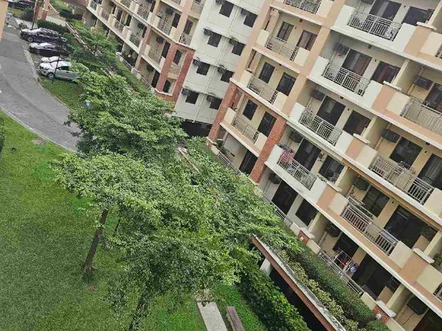 place photo 27