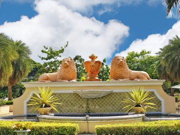 place photo 40