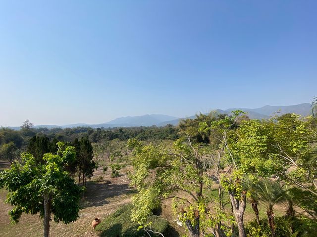 place photo 62