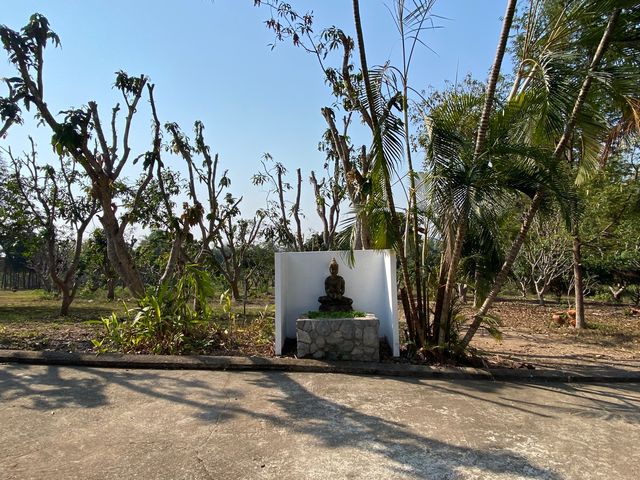 place photo 80