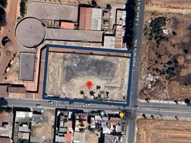 place photo 4