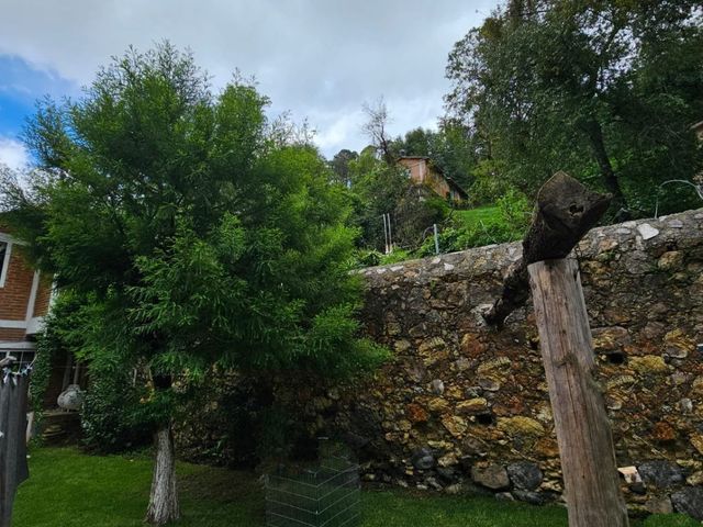 place photo 58
