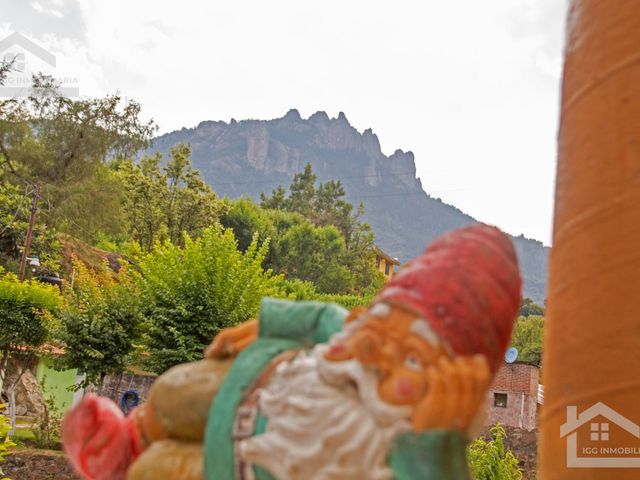 place photo 61