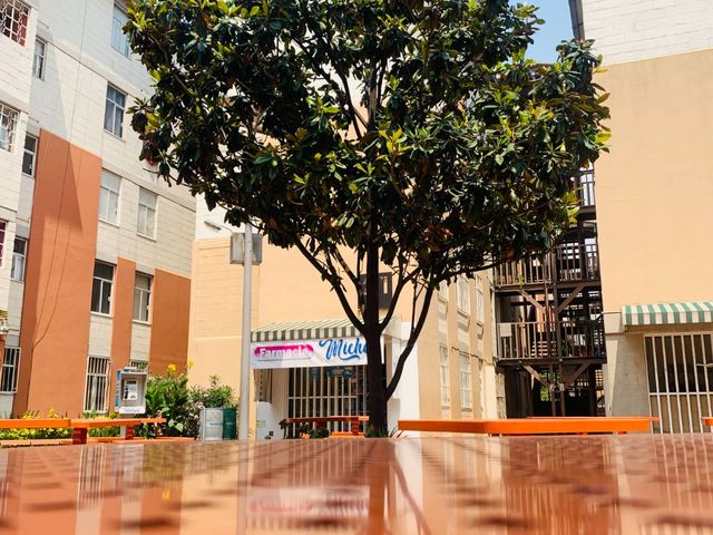 place photo 21
