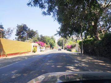 place photo 34