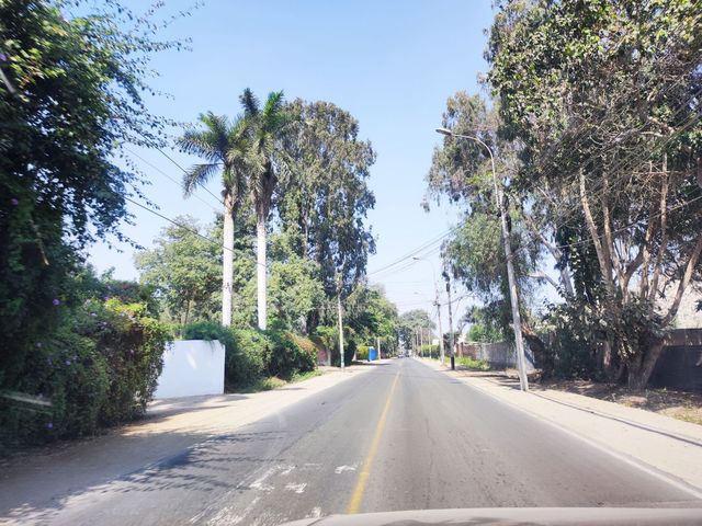place photo 35