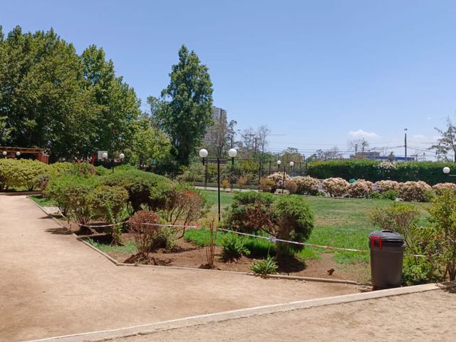 place photo 36