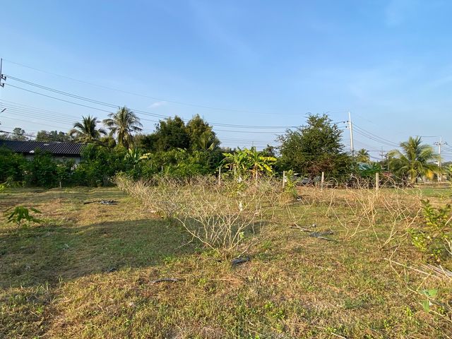 place photo 25