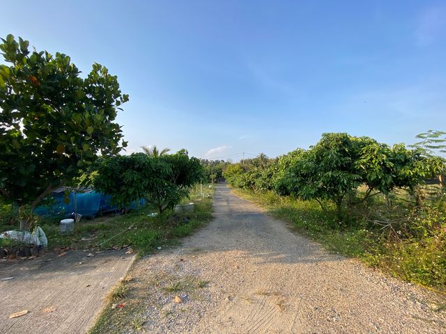 place photo 21