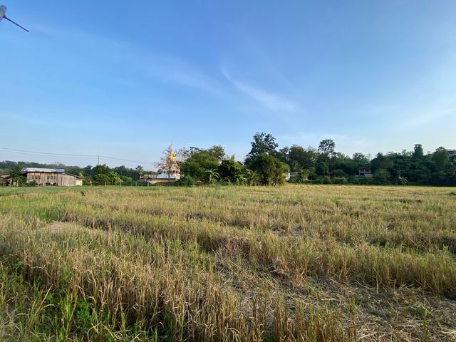 place photo 38