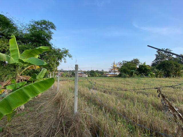 place photo 39