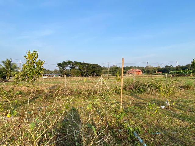 place photo 24