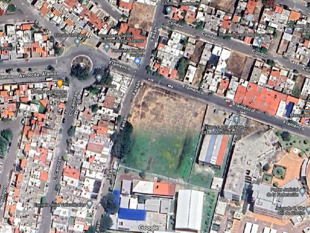 place photo 12
